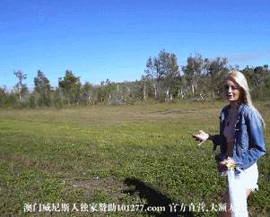 动态美图-第1338期